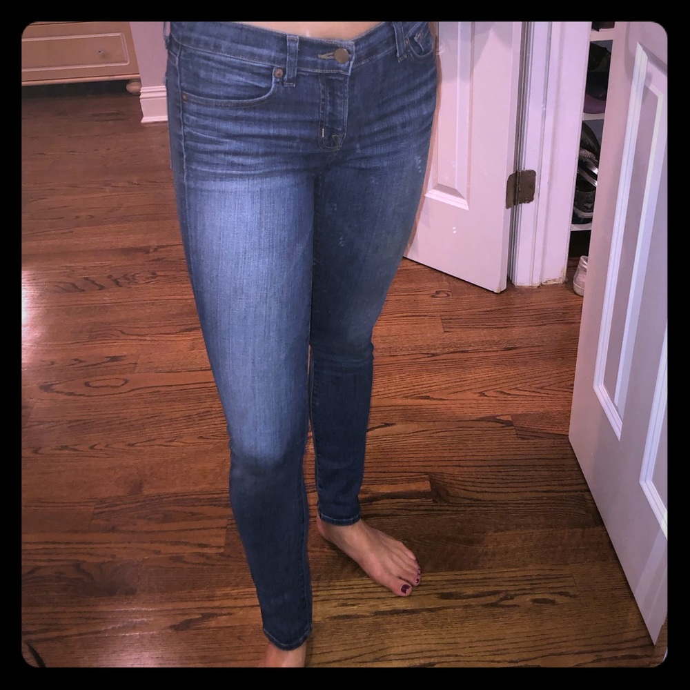 J brand classic skinny leg jean in songbird
